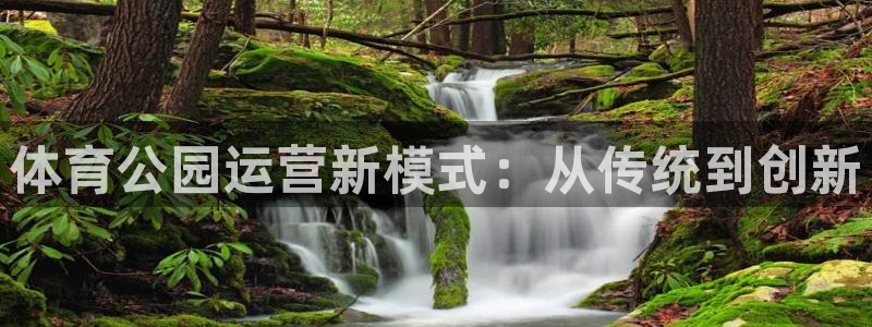 德国逐梦国际集团