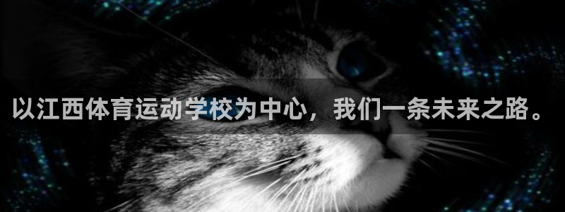 逐梦国际体育凯捷平台招商