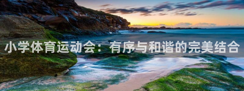 意昂体育官网