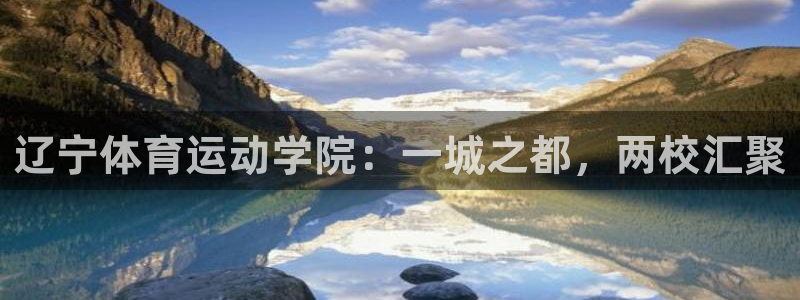 上海逐梦国际汽车电子有限公司
