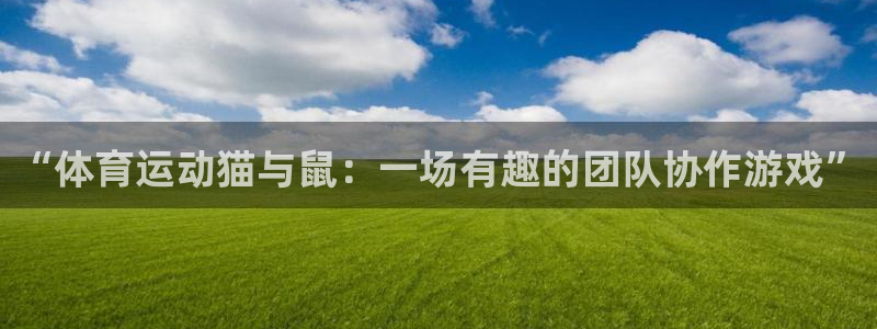 逐梦国际体育注册