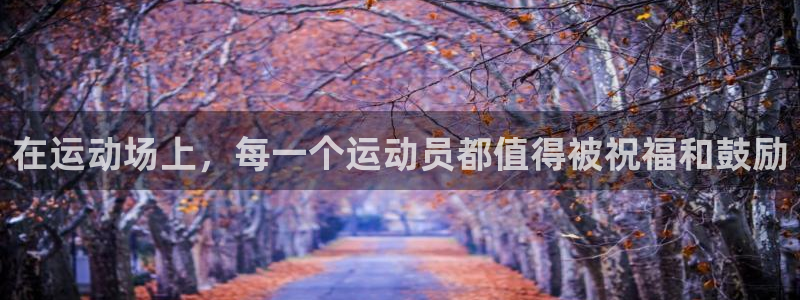 逐梦国际3平台登录注册