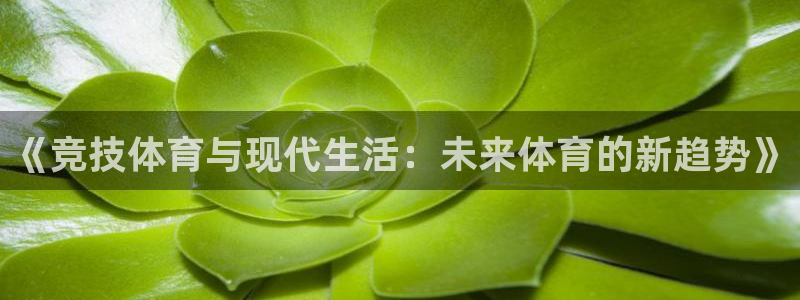 杭州意昂科技有限公司