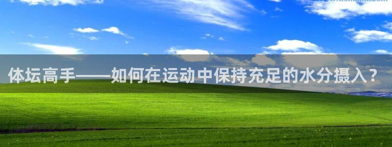 逐梦国际体育注册代理