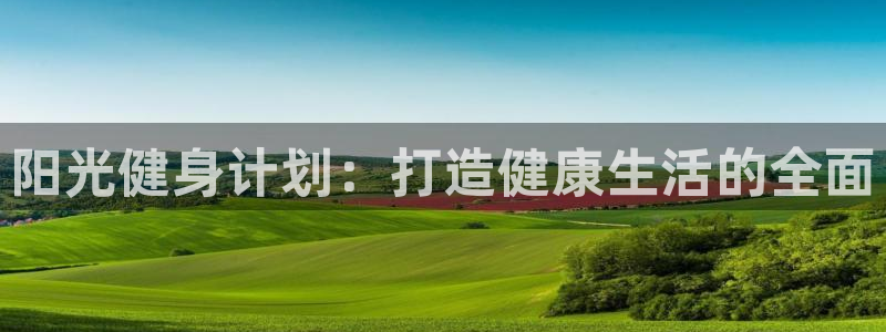 逐梦国际2官网