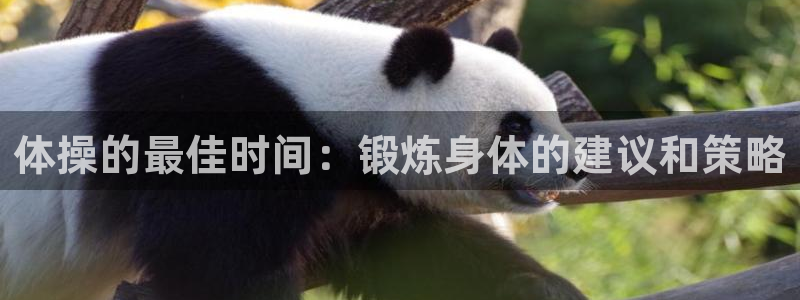 意昂集团