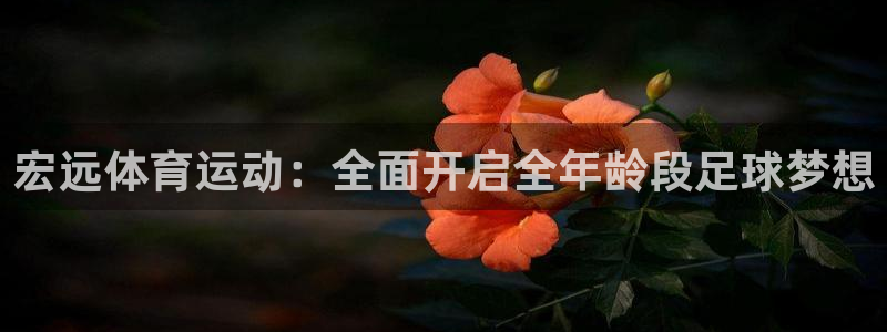 逐梦国际登录注册