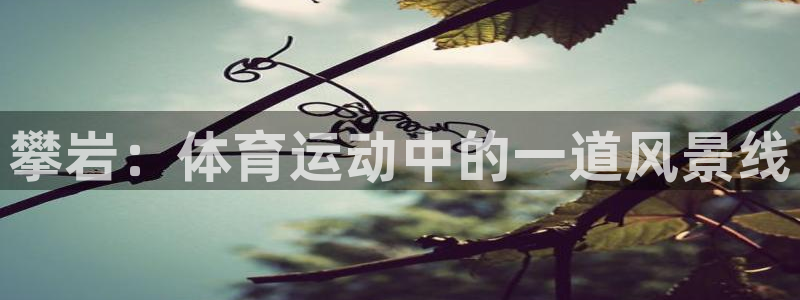 逐梦国际体育官网
