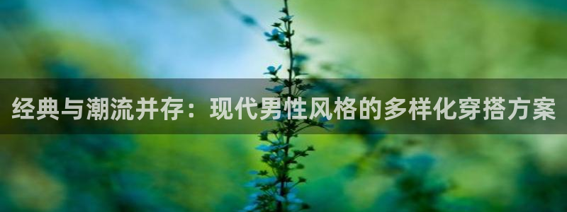 逐梦国际4