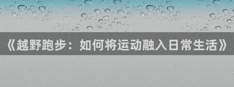 逐梦国际平台招商