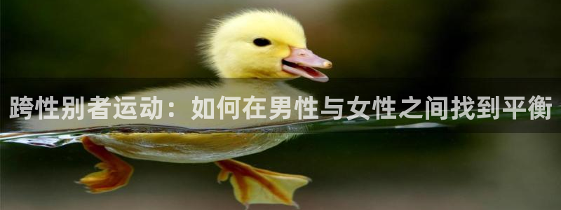 意昂凯捷注册