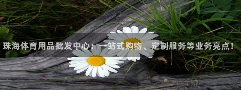 意昂3官网登录