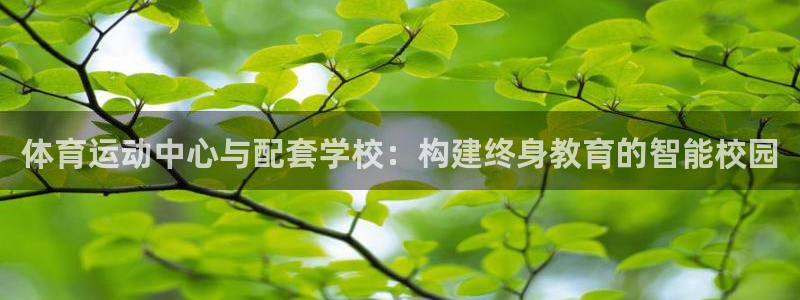 意昂官网注册